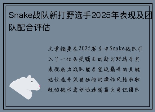 Snake战队新打野选手2025年表现及团队配合评估